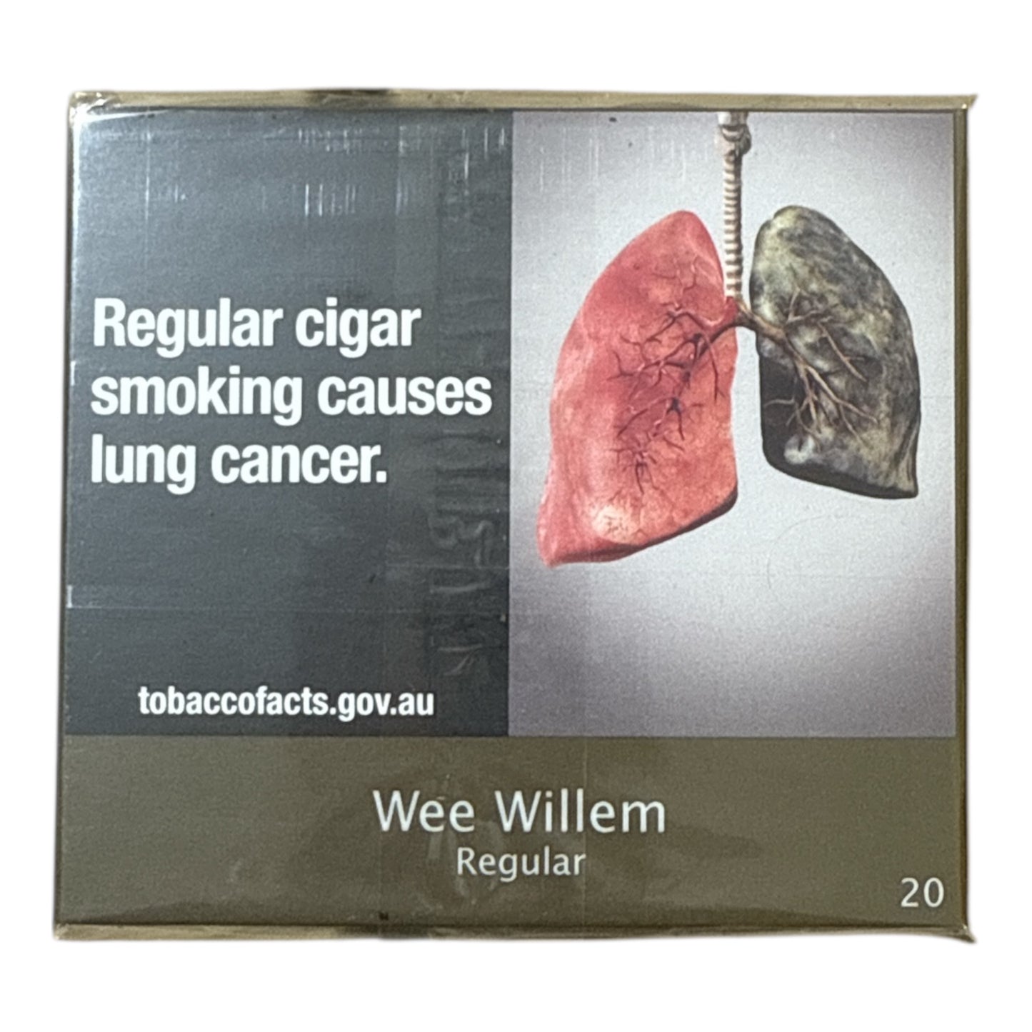 WEE WILLEM Regular (5pkx20)